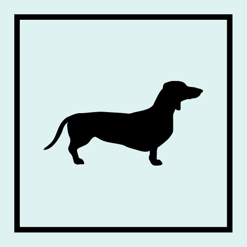 Wirehairedpup